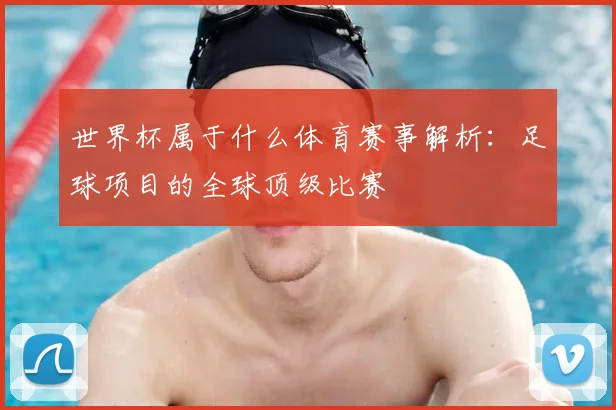 世界杯属于什么体育赛事解析：足球项目的全球顶级比赛
