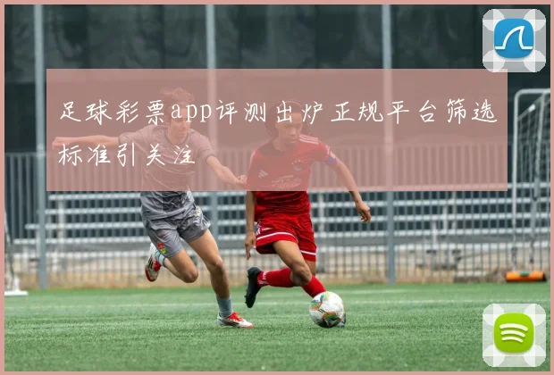 足球彩票app评测出炉正规平台筛选标准引关注
