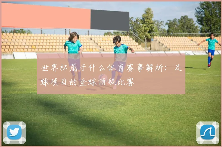 世界杯属于什么体育赛事解析：足球项目的全球顶级比赛