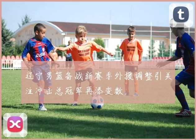 辽宁男篮备战新赛季外援调整引关注冲击总冠军再添变数